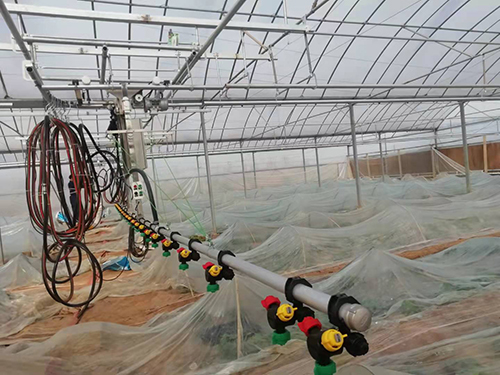 怎样防 治温室育苗的常见病害？？？？？？？？